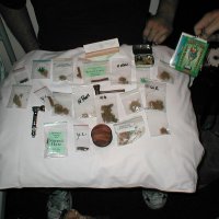 Amsterdam Photos